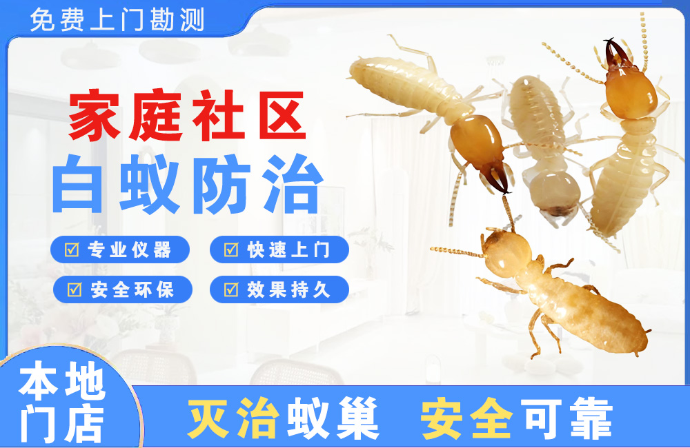 九龙坡家庭社区白蚁防治