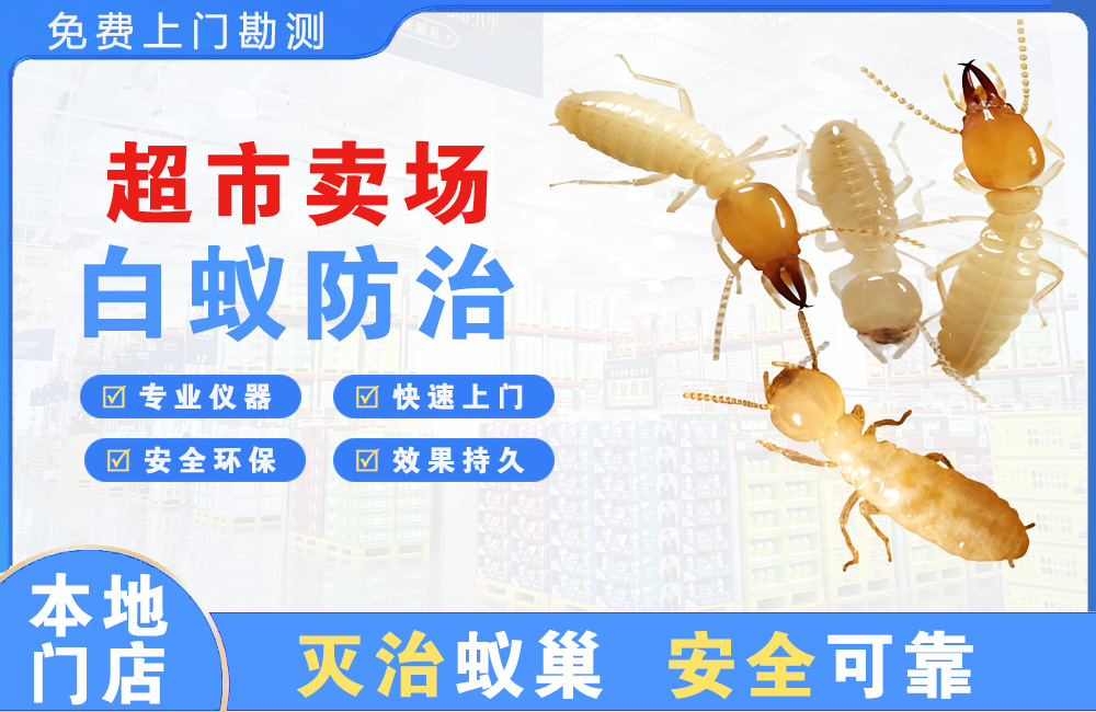 九龙坡超市卖场白蚁防治