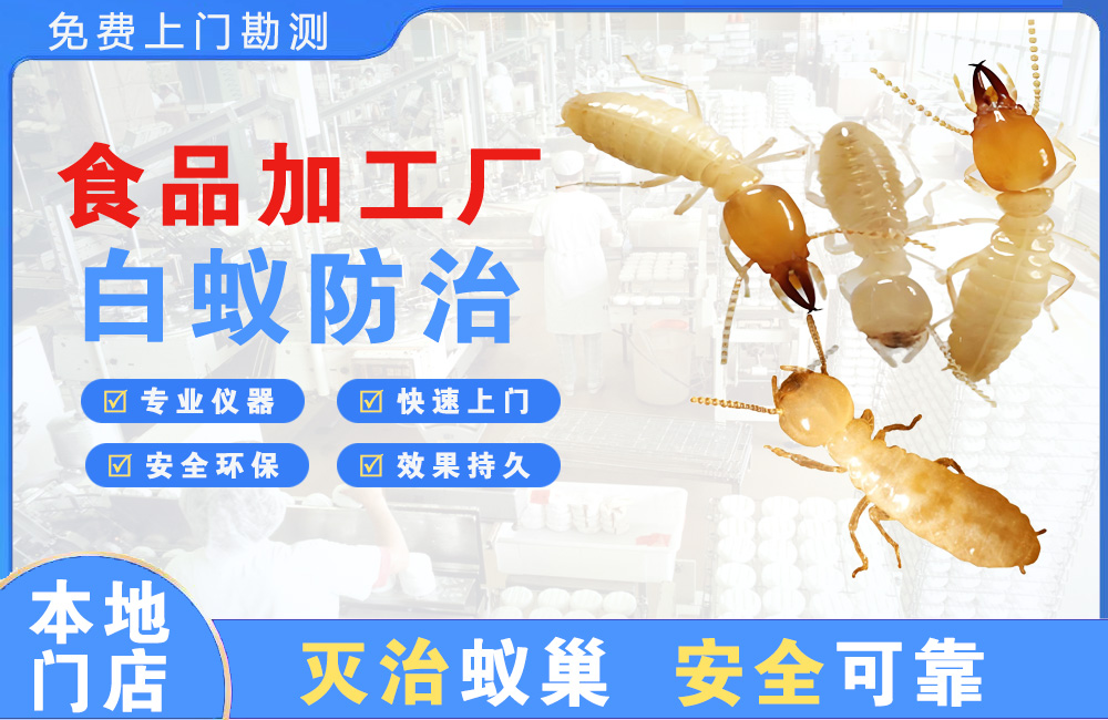 九龙坡食品加工厂白蚁防治