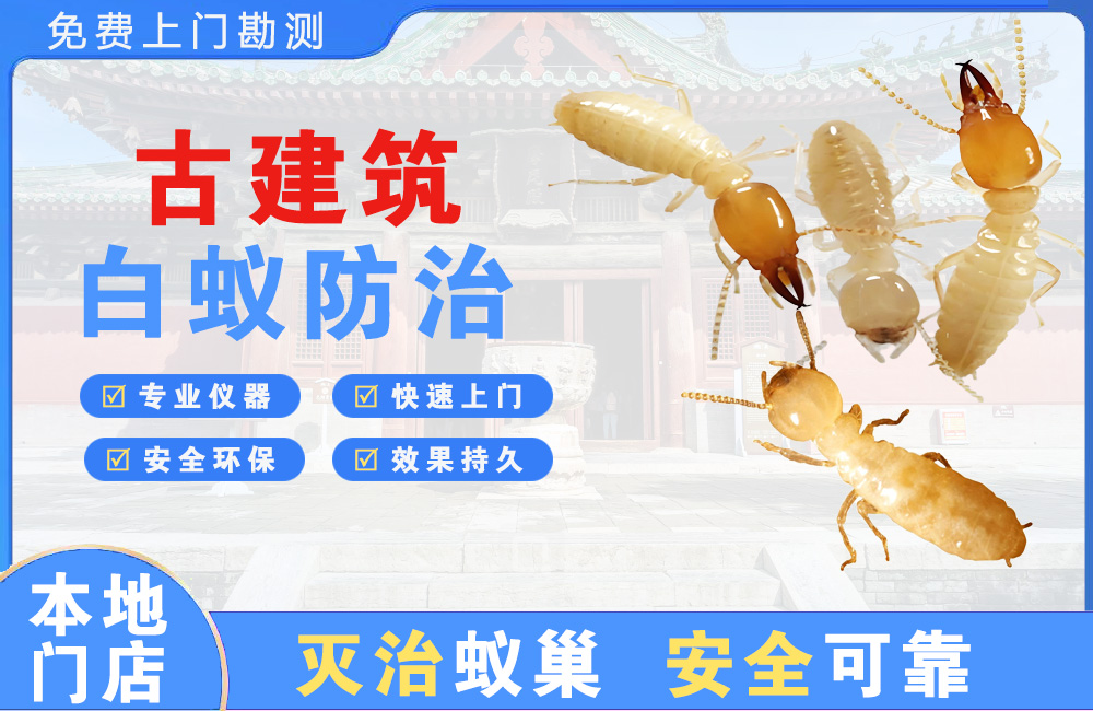 九龙坡古建筑白蚁防治