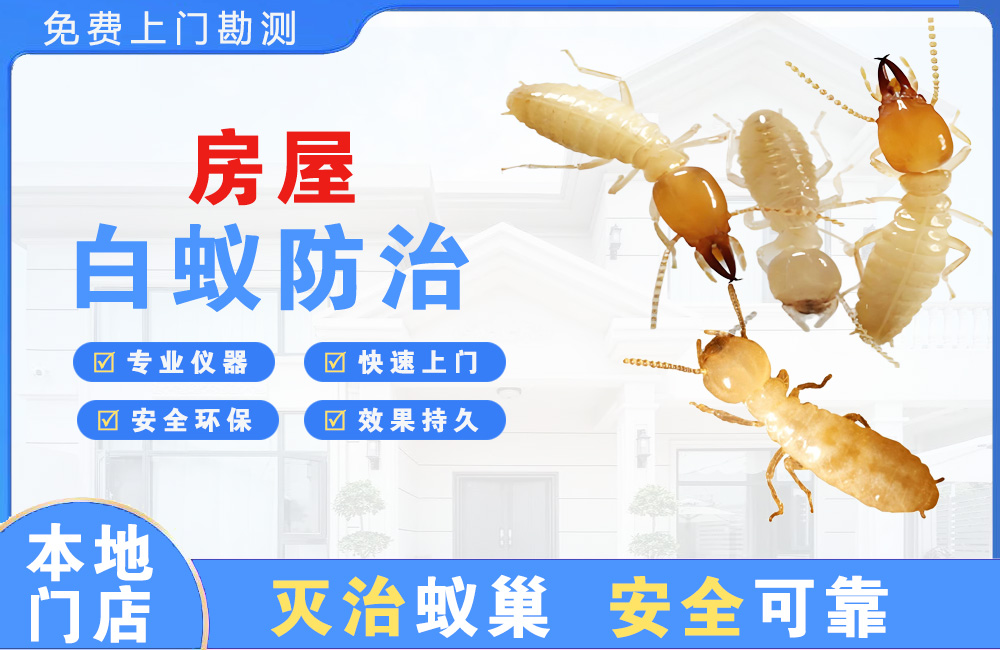 九龙坡房屋白蚁防治