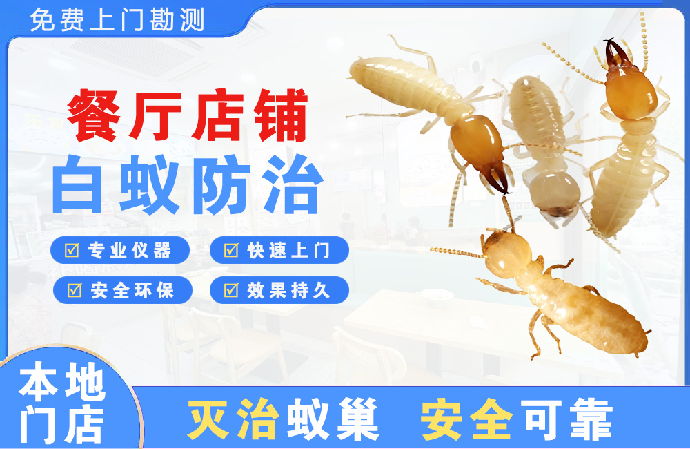 九龙坡餐厅店铺白蚁防治